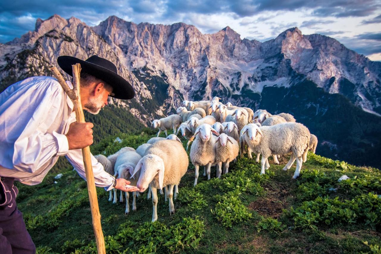 Tourist Farm Senkova Domacija Vila Zgornje Jezersko Exterior foto